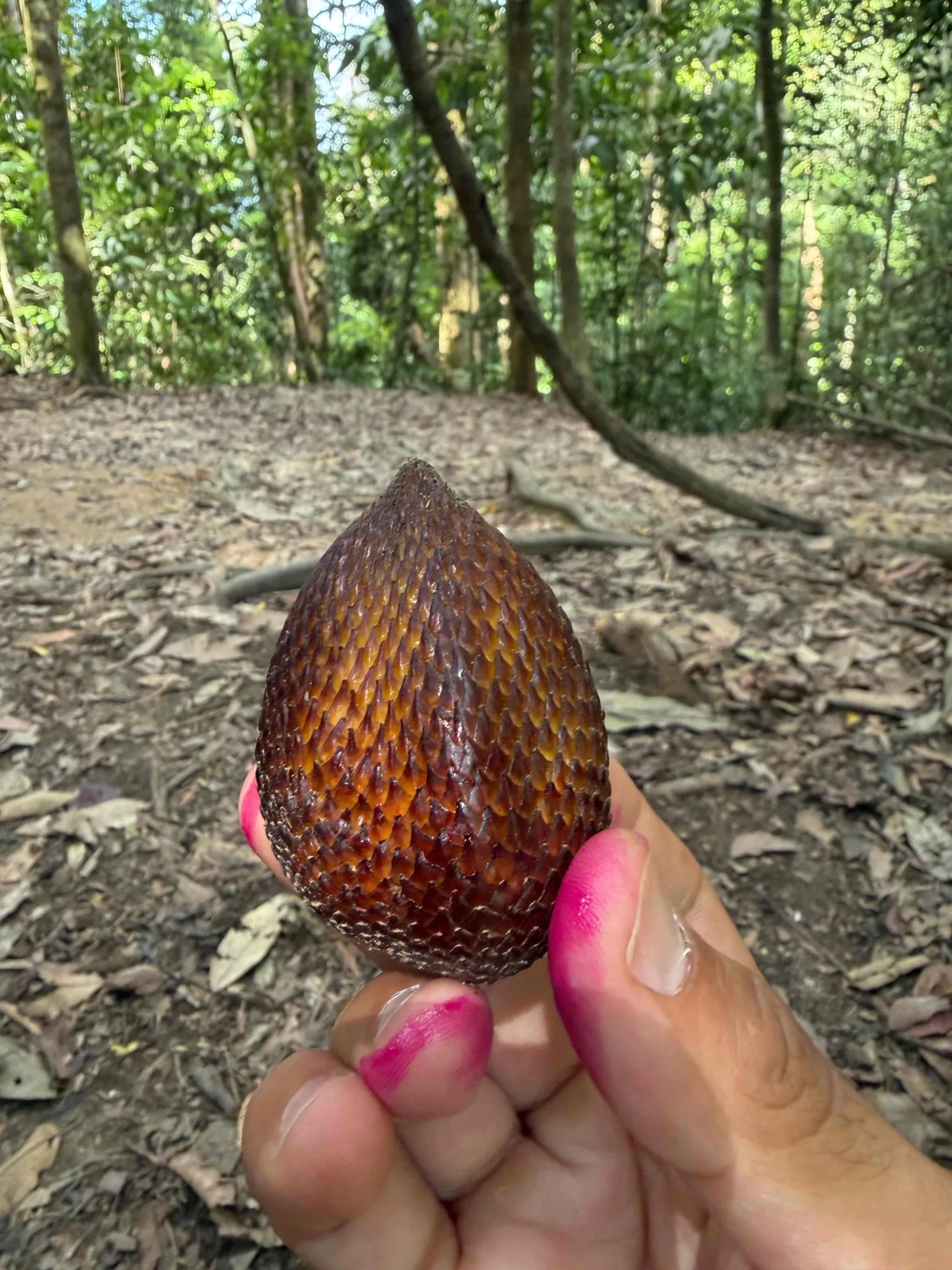 Salak
