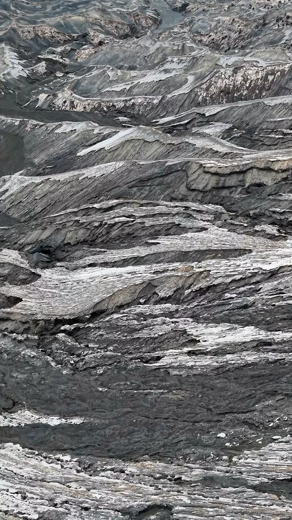 East Java: when nature sees things big — 4