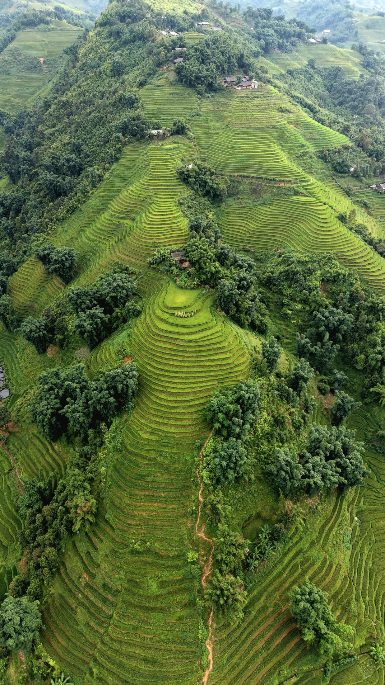 Sapa ou Sapaland ? — 1